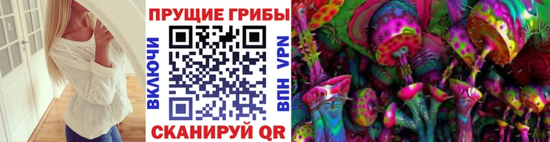 где найти наркотики  Дубна  Псилоцибиновые грибы Magic Shrooms 